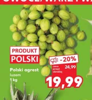 Agrest polski luzem