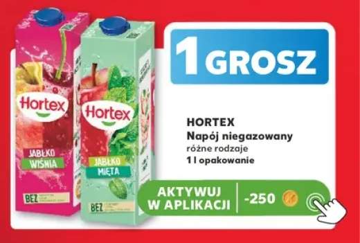 Napój niegazowany Hortex Jabłko Mięta +1 wariant