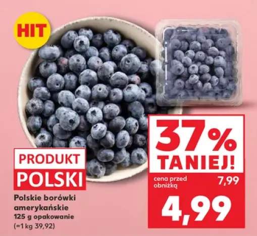 Borówki amerykańskie polskie