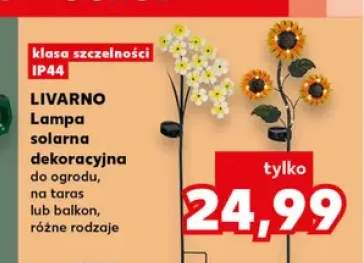 Lampa solarna dekoracyjna Livarno