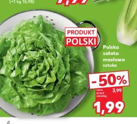 Polska sałata masłowa