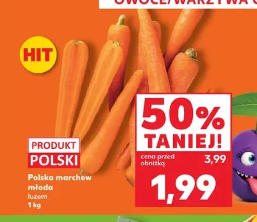 Marchew młoda polska