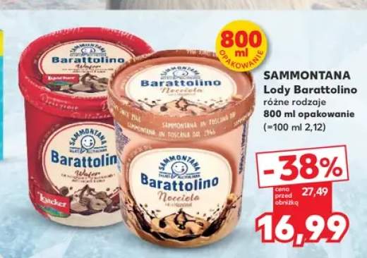 Lody Barattolino Wafer Sammontana +1 wariant