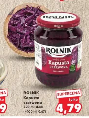 Kapusta czerwona Rolnik