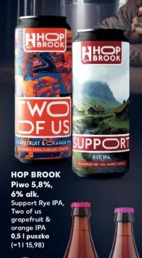 Piwo Hop Brook Two Of Us Grapefruit & Orange IPA +1 wariant