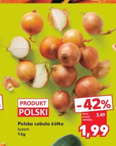 Cebula żółta polska