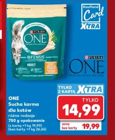 Sucha karma dla kotów Purina ONE