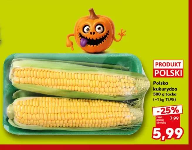 Kukurydza polska