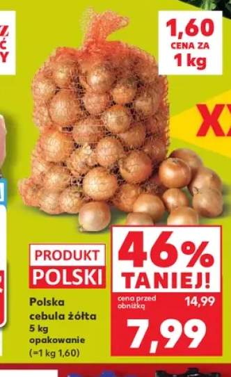 Cebula żółta polska