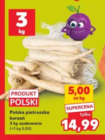 Polska pietruszka korzeń