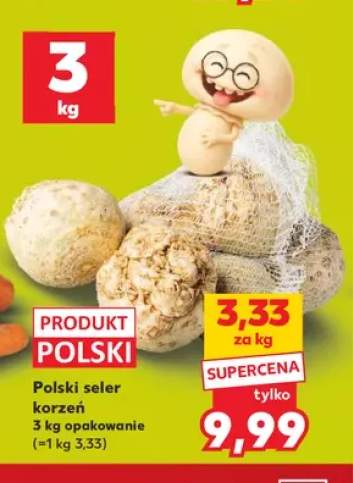 Polski seler korzeń