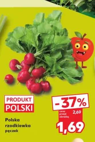 Polska rzodkiewka