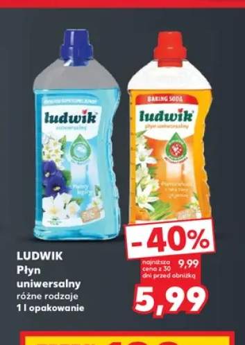 Płyn uniwersalny Ludwik