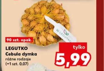 Cebula dymka Legutko