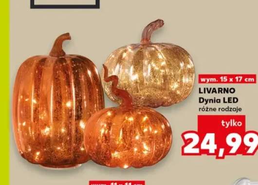 Dynia LED Livarno