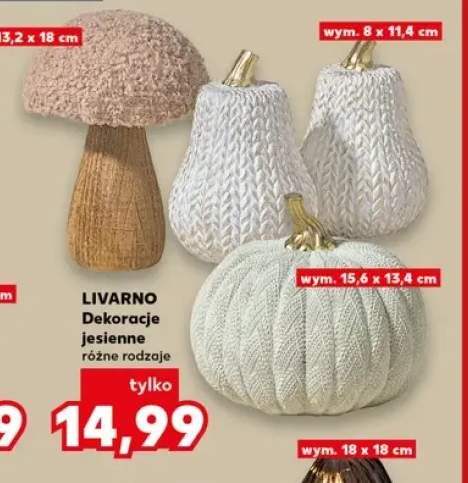 Dekoracje jesienne Livarno
