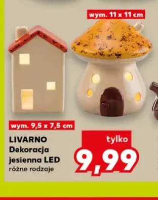 Dekoracja jesienna LED Livarno