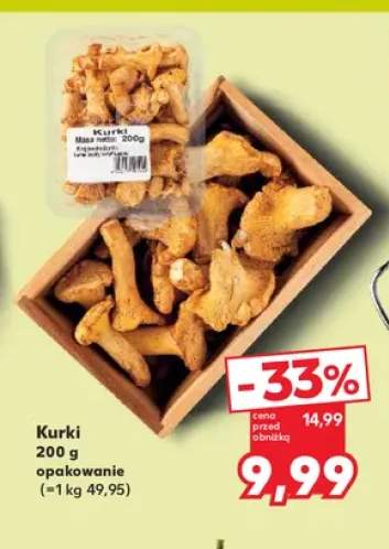 Kurki