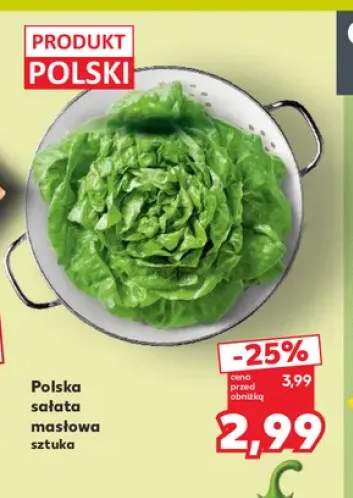 Sałata masłowa polska
