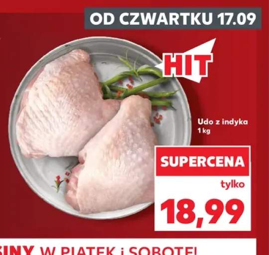 Udo z indyka