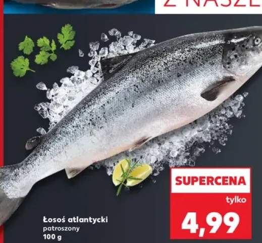 łosoś patroszony
