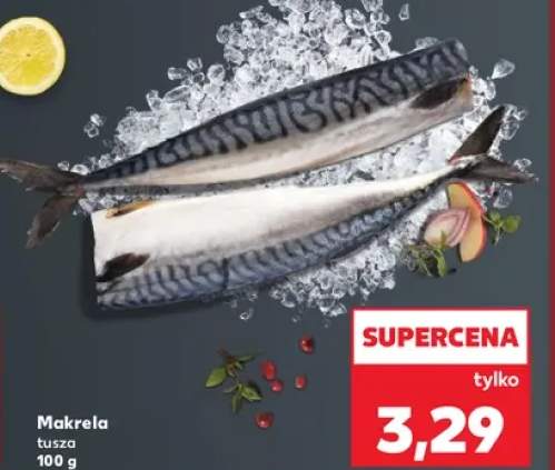makrela tusza