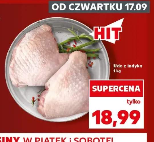 Udo z indyka