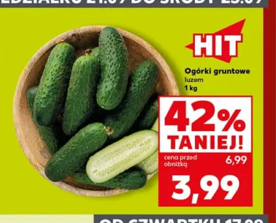 Ogórki gruntowe