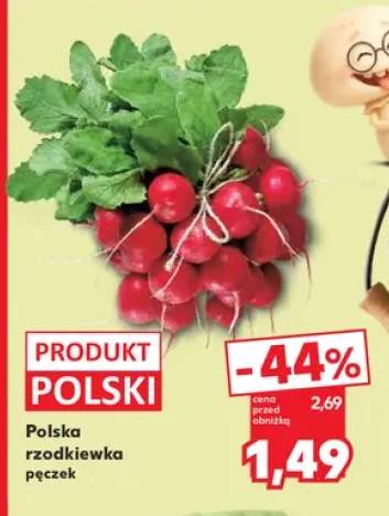 Rzodkiewka polska