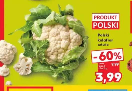 Kalafior polski