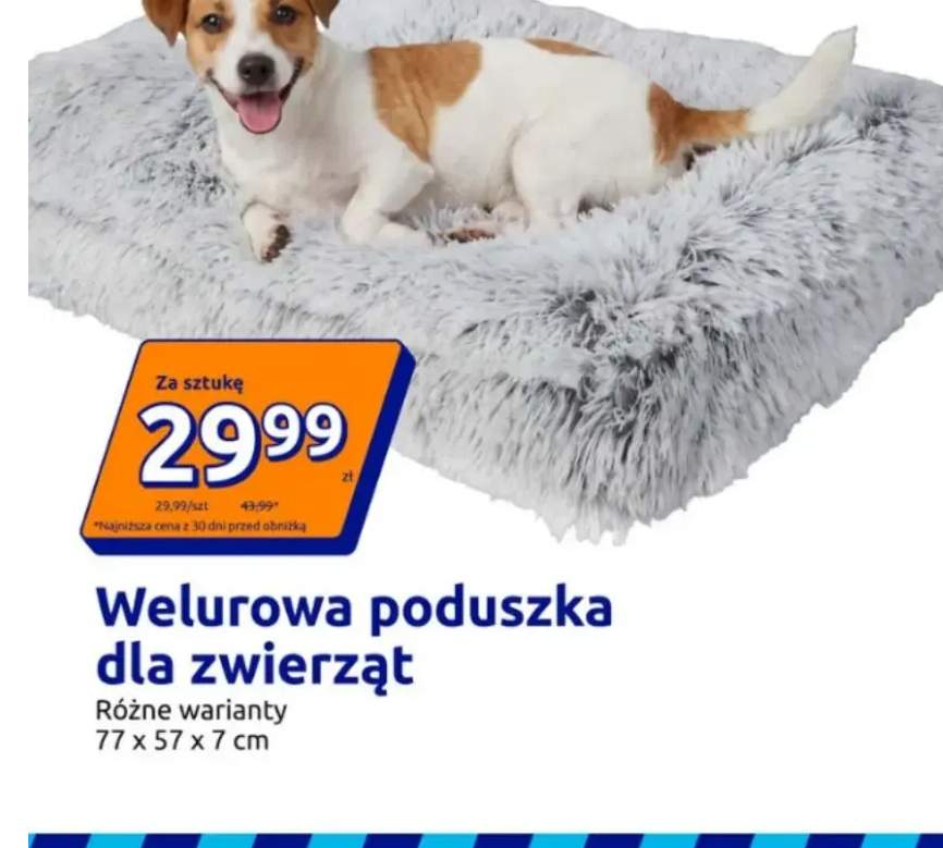 legowisko dla zwierząt