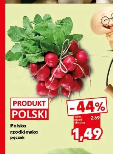 Rzodkiewka polska