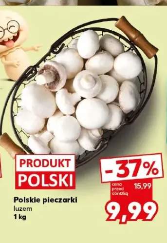 Pieczarki polskie