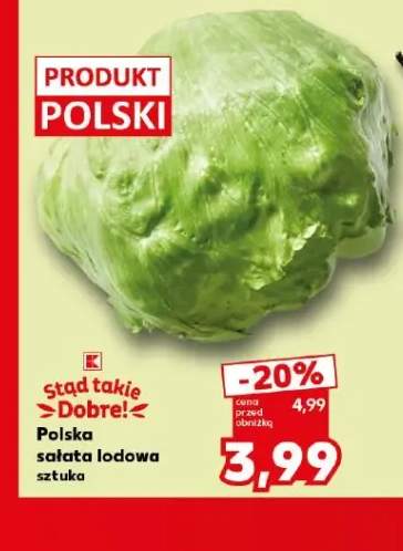 Sałata lodowa polska