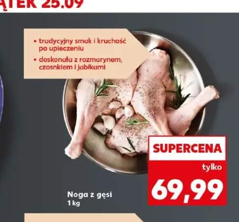 Noga z gęsi