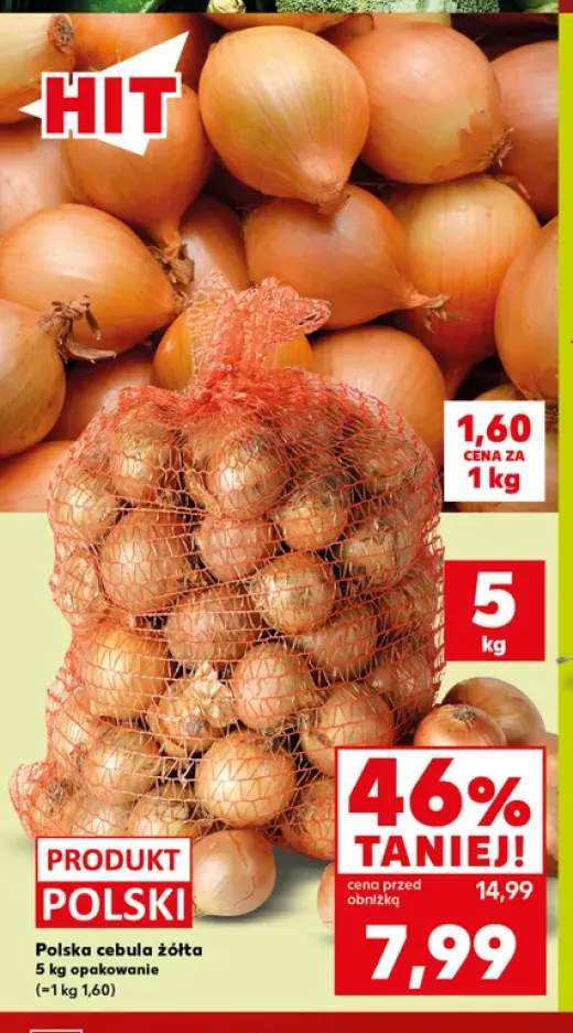 Cebula żółta polska
