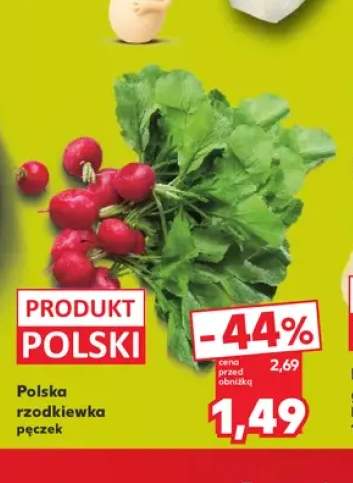 Rzodkiewka polska