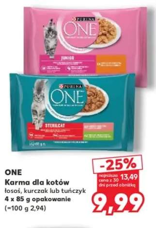 Karma dla kotów łosoś 4-pak One +2 warianty