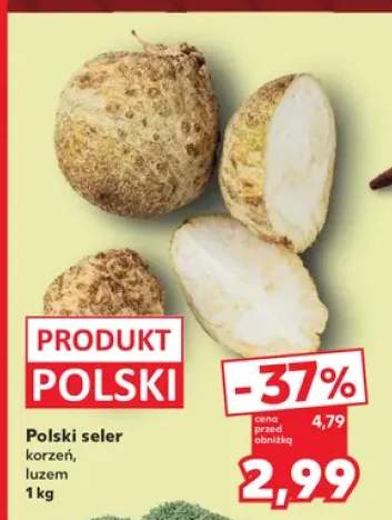 Seler korzeń polski