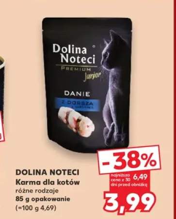 karma dla kota