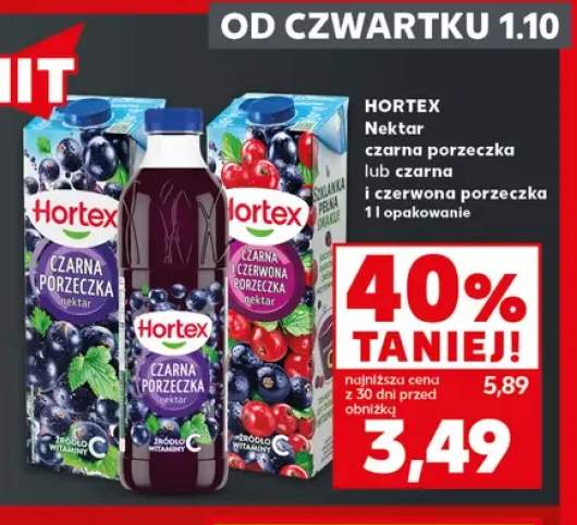 Nektar czarna porzeczka Hortex +1 wariant