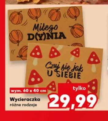Wycieraczka 60x40 cm