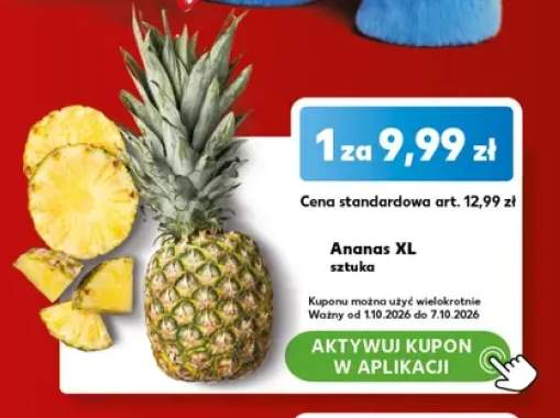 Ananas XL