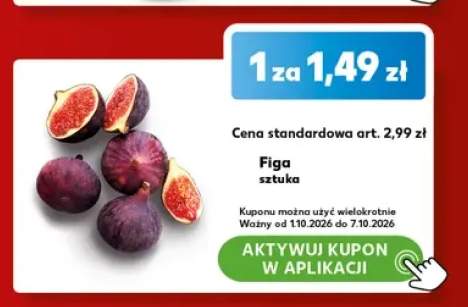 Figa