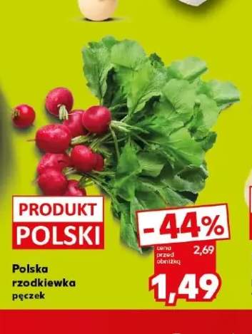 Rzodkiewka polska