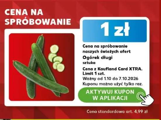 Ogórek długi
