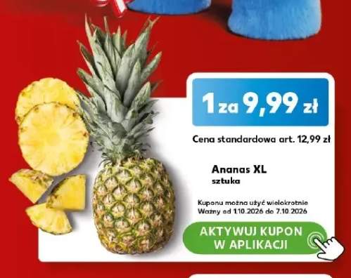 Ananas XL