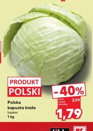 Kapusta biała polska