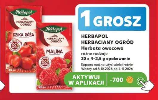 Herbata owocowa Herbapol Herbaciany Ogród