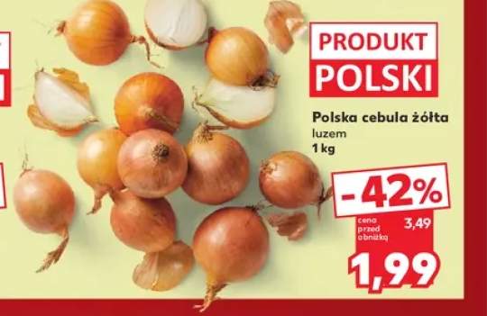 Cebula żółta polska